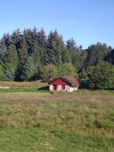 The image shows a small, traditional stone and red-painted wooden house with a sod roof, nestled in a grassy field. Behind the house, a dense forest of evergreen trees lines the horizon under a clear blue sky. The field in the foreground is covered in tall, green and brown grasses. The scene appears to be located in Sveggen, Norway. There are no people or animals visible in the image.