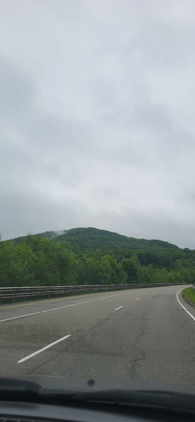 The image shows a highway with a mountain covered in lush green trees in the background. The sky is overcast and appears to be grey. The highway has white lane markings and a guardrail on the left side. The scene is likely captured from a moving vehicle as indicated by the perspective and the blur on the bottom part of the image. There are no people or specific structures visible that would tie this image to Zanadvorovka, Russia, or any other specific location. The environment suggests a natural landscape with a road infrastructure.
