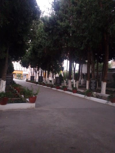 The image depicts an exterior view of a building with a paved walkway leading up to it, lined with trees and planters. The building appears to be a school or administrative complex, with multiple windows and an entrance visible in the background. The walkway is flanked by rows of trees with white-painted bases, and several dark-colored informational signs are posted along the path. The trees are mature and provide shade, contributing to a serene atmosphere.
Several terra cotta pots with plants are strategically placed along the walkway and on a tiered planter box on the left side of the image. The ground is paved with asphalt, and a white border delineates the planting areas. The overall setting suggests a well-maintained public space, possibly a school campus or a governmental area.
The lighting indicates it is either early morning or late afternoon, with soft, diffused light. The sky is overcast, suggesting a possibility of rain or simply a cloudy day. The scene is peaceful and quiet, with no people visible.
On a sign on the left, there is visible text in Latin script that reads "NUTMAI AKTAY HAYOTCA AYBORILASH MASKANI". Further down the walkway, a larger sign is partially visible with text in a different script, possibly Cyrillic or another local alphabet, and some Latin text "H KELIBSIZ!".
The location context is Kokand City, Uzbekistan.