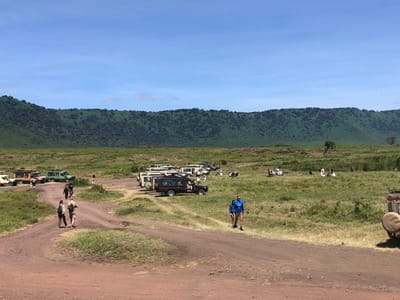 The scene is an open field, a savanna, with a dirt road, and a grouping of parked vehicles. The vehicles are safari-type, four-wheel-drive vehicles used for wildlife viewing. They are parked haphazardly, some facing forward, some backward, some at an angle. Some of the vehicles are green, some are cream-colored, and some are brown. It is daytime. There is a clear blue sky and green grassy hills in the background. There are a few people, adults, walking on the dirt road, and a couple of people standing by the vehicles. Some are wearing hats and safari gear. There are also several people sitting around the vehicles. There is a single tree in the middle ground, and several trees are in the background. The location is in the city of Ilturot Lorkereyan, Tanzania, with a latitude of -3.211 and a longitude of 35.602.