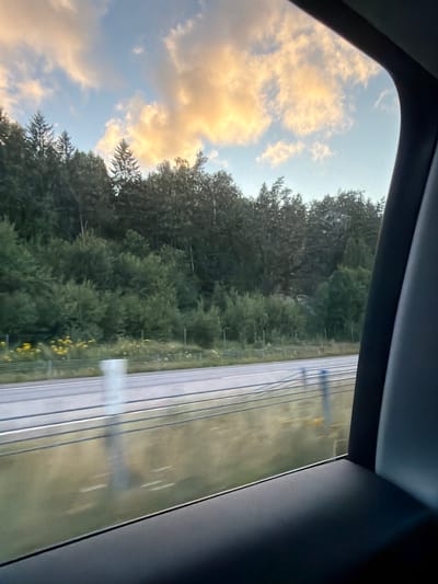 The image shows a view from inside a vehicle looking out a window at a wooded hillside next to a highway. The sky is partly cloudy with patches of orange and yellow light, suggesting sunset or sunrise. The trees are dense and green, with some lighter foliage visible. A paved road with lane markings runs horizontally across the middle of the frame. There are some fence posts and other indistinct structures along the side of the road. The interior of the vehicle, likely the seat and window frame, is visible in the foreground and on the right side of the image, creating a framing effect. No people are visible in the image. The scene appears to be a natural landscape alongside a transportation route, consistent with a location in or near Hogstorp, Sweden, which is known for its rural and forested areas.