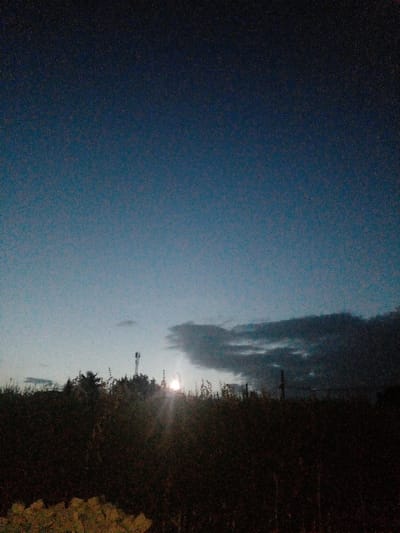 The image displays a dark, cloudy sky transitioning into a landscape at dusk or night. A tall, thin structure pierces the horizon, potentially a utility pole or tower. A bright light source, possibly the moon or a streetlamp, is visible beyond the foliage. Dense trees and shrubbery line the right side of the image, fading into deeper shadows. The overall scene conveys a sense of stillness and obscurity.