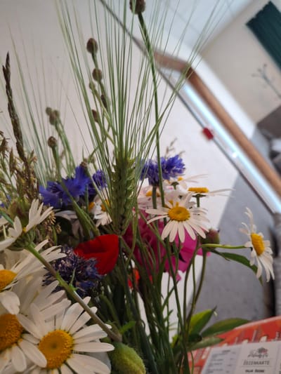 A close-up, vertical shot shows a bouquet of wildflowers against a blurred background. The bouquet features daisies with white petals and yellow centers, blue cornflowers, red poppies, and some greenery, including blades of grass and wheat stalks. A small, green, spiky seed pod is also visible. In the background, a white wall is partially visible, along with a wooden structure that appears to be a window frame or doorway, and a glimpse of a teal curtain. The overall impression is of a natural, rustic arrangement.
The image was taken in the city of Lēdmane, Latvia.