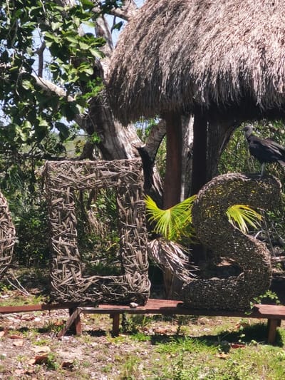 The image shows a large, woven wicker structure that appears to be the letters "U" and "S" in front of a thatched-roof hut in Unidad de Riego, Mexico. The structure is made of natural branches woven together. A single black bird is perched on the "S" and a small palm tree is growing near the bottom of the "U." There is a wooden bench in front of the structure and dense foliage fills the background. The scene appears to be in a secluded, outdoor area.