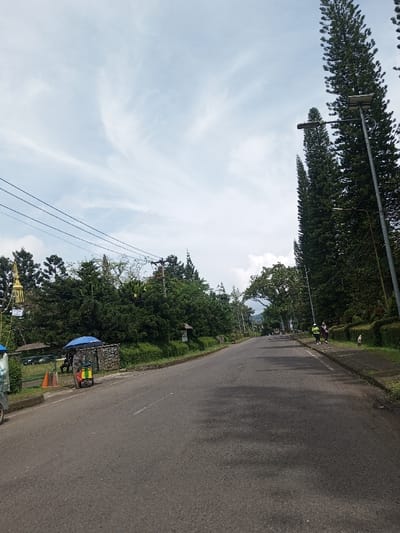 The image displays an asphalt road extending into the distance under a partly cloudy sky in the city of Namthoung, Laos. On the left side of the road, a street vendor's cart, colored yellow and green, is positioned beneath a blue umbrella. An individual stands near the cart. Two orange traffic cones are visible on the ground. Behind this area, a green metal fence and a stone wall separate the road from dense green foliage. A golden, decorative spire-like object is visible above the tree line. Utility poles with multiple power lines traverse the upper left portion of the frame. On the right side of the road, several tall, slender coniferous trees line the edge, accompanied by a streetlight featuring a solar panel. Further down the road on the right, two individuals are walking on a paved pathway or sidewalk, moving away from the viewer; one person wears a light-colored, possibly reflective vest. The background reveals distant hills or mountains partially obscured by haze and vegetation.