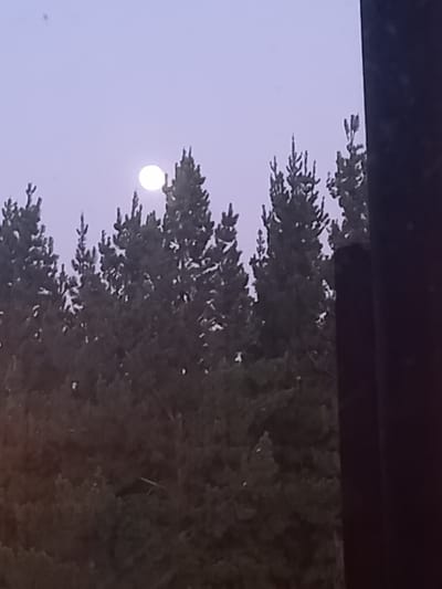 This image captures an outdoor twilight or pre-dawn scene in Santa Juana, Chile. A prominent, bright white, circular moon is visible in the upper-center against a light purplish-gray sky. Below the moon, a dense forest of dark green coniferous trees, likely pines, extends across the middle and lower portions of the frame, their tops silhouetted against the sky. A dark, vertical rectilinear object, consistent with a structural element or a large tree trunk, partially obstructs the view along the far right edge of the composition. No individuals or specific actions are depicted.