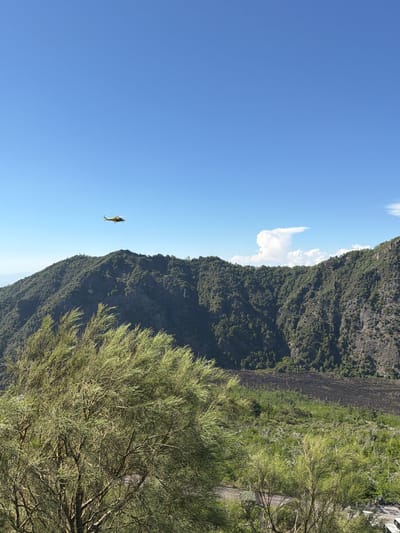 A yellow helicopter flies in the clear blue sky above a verdant, mountainous landscape. The mountains are covered in dense green trees and scrub brush, with steep, rocky cliffs visible in some areas. In the foreground, a large, bushy green tree with thin, wispy branches dominates the lower portion of the image, its leaves rustling in the wind. Below the helicopter and further into the landscape, there appears to be a dark, barren area that may be volcanic rock or ash. The scene is likely a natural park or protected area within or near Ercolano, Italy, given the volcanic terrain characteristic of the region surrounding Mount Vesuvius.