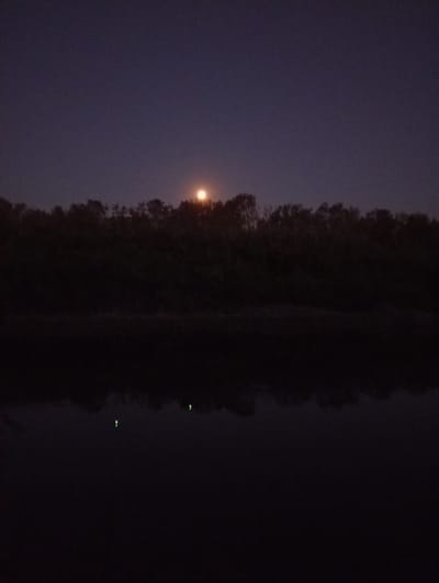 The image captures a moonlit night scene in Karakol, Kazakhstan, overlooking a body of water. The moon, a bright, orange orb, is positioned just above a dense line of trees that form a dark silhouette against the twilight sky. The sky itself is a deep, dusky purple. Below the tree line, the water's surface is dark and reflective, mirroring the scene above. Faint, greenish lights, possibly from aquatic life or distant lamps, are visible on the water's surface. The overall atmosphere is serene and tranquil, indicative of a quiet night by the water.