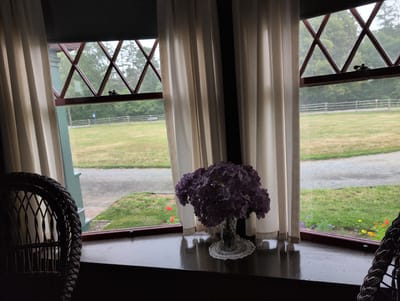 The image depicts a room with a dark wooden sill and a large window offering a view of an outdoor grassy area with a fence and trees. The window has a distinctive diamond-shaped mullion pattern in its upper section. Light-colored curtains hang on either side of the window. On the sill, a clear glass vase filled with a bouquet of purple flowers rests on a white, crocheted doily. To the left of the vase, a portion of a dark wicker chair is visible. The outdoor scene appears to be a park or rural setting, possibly during overcast weather, as indicated by the diffused light. The interior is dimly lit, creating a contrast with the brighter outdoor environment.