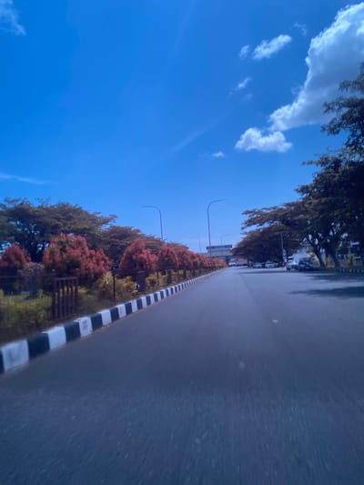 The image depicts a view from a moving vehicle on a paved road in Luengbaro, Indonesia. The road is bordered on the left by a black and white striped curb and a low fence, beyond which are rows of trees with reddish-pink foliage and taller green trees. Streetlights are visible along the roadside. On the right side of the road, there are more trees and several parked cars, including a white sedan and a darker colored car. Further down the road, there appears to be a pedestrian overpass or bridge structure. The sky is a clear, vibrant blue with a few scattered white clouds. The overall impression is a sunny day with moderate traffic on a well-maintained road lined with greenery.