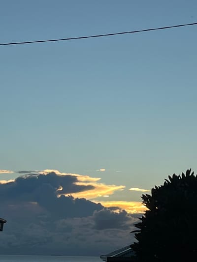 The image depicts a coastal sunrise or sunset scene in Coalcliff, Australia. The upper sky is a clear light blue, with a thin, dark horizontal utility wire spanning across it. Below, a large, dark, multi-layered cloud formation dominates the mid-ground, with its upper and right-side edges illuminated by golden and white sunlight, indicating a low sun behind the clouds. To the right, the silhouette of dense foliage from a tree or large bush partially obscures the glowing clouds. In the bottom-left corner, a small section of a light-colored roof structure is visible. The lower portion of the image shows a calm body of water, consistent with the Pacific Ocean, with a faint, dark horizontal line on the distant horizon, potentially indicating land or an island. No individuals or discernible actions are present.