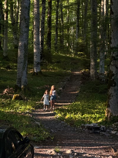 The image depicts a sun-dappled forest path in Sjerogošte, Montenegro. Two young girls, one in a white dress and the other in a white tank top and denim shorts, are walking up the path. The girl on the left is holding a blue object, possibly a toy. A black car is partially visible in the lower left corner of the frame, parked near the side of the path. The path is made of gravel and dirt, with rocks and green vegetation lining its sides. Tall trees with grey bark dominate the background, with sunlight filtering through their leaves, creating a play of light and shadow on the forest floor.