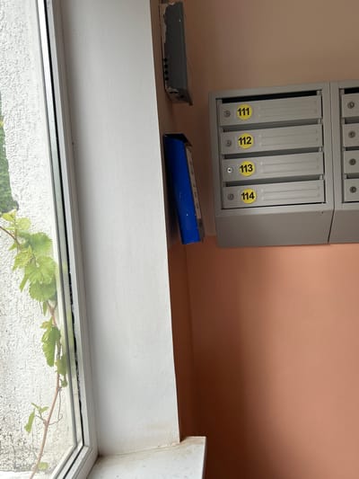 The image shows a section of an interior space, likely in an apartment building. A set of four mailboxes labeled 111, 112, 113, and 114 are mounted on a peach-colored wall. A gray box and a blue object rest on a white ledge below the mailboxes. A window is beneath the ledge with a vine growing outside. The location is Raduga, Russia.