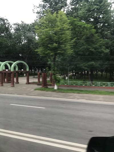 The image depicts an outdoor scene captured from a moving vehicle, evidenced by motion blur. The perspective is directed towards the right side of a road in Roman, Romania, specifically showing an entrance to a park, likely Parcul Municipal.
In the foreground, an asphalt road with visible white lane markings is present. A double solid white line marks the center or edge of the road, and a single dashed white line is visible further to the left. A concrete curb separates the road from the adjacent pedestrian and park areas.
To the left of the road, a distinctive architectural structure serves as an entrance. This structure comprises multiple vertical, reddish-brown, pillar-like supports topped with light green, semi-circular archways. At least three full arches are visible, with two white spherical objects positioned atop some of the brown supports. Beyond this archway, a paved pathway or plaza leads into a densely treed park.
To the right of the road, a low decorative fence borders a grassy strip. The fence has a reddish-brown base and features light green, ornate, curved metal sections. Behind this fence, a large park area extends, characterized by numerous mature trees with various shades of green foliage. A white vertical post is visible within the park.
Multiple dark power or communication lines traverse horizontally across the mid-ground, suspended above the park entrance and trees. The sky is overcast and uniformly light grey, visible through breaks in the tree canopy. No individuals are present in the scene.