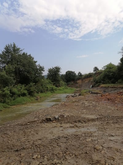 The image depicts a natural landscape scene, likely a riverbank, with a focus on the natural elements of the environment. In the foreground, a muddy, rocky terrain is visible, showing signs of recent disturbance or natural erosion. Small to medium-sized stones and pebbles are scattered across the surface, mixed with patches of wet mud and tire tracks, suggesting it might be a path or an area frequented by vehicles.

The middle ground is dominated by a river with murky, greenish-brown water. The river flows gently, reflecting the overcast sky above. The riverbanks are irregular, with some areas covered in lush green grass and dense vegetation, while others are exposed earth and rock. On the left bank, a thick growth of trees and bushes creates a natural barrier, with their foliage extending towards the water.

The background features a series of rolling hills covered in dense green trees, characteristic of a forested area. The sky is partly cloudy, with large white clouds interspersed with patches of blue sky, indicating a bright but not entirely sunny day. The overall impression is one of a natural, somewhat untamed environment, possibly located in a rural or semi-rural setting. The absence of any human figures or man-made structures, other than the faint tire tracks in the mud, reinforces this impression of a natural, serene setting. Without further context or specific landmarks, pinpointing the exact location within Lopushna, Bulgaria, is not possible based solely on the visual information provided in the image.