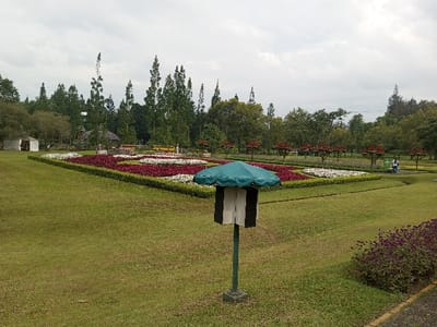 A park landscape shows a large flower bed divided into alternating sections of red and white flowers. A green umbrella structure stands in the foreground. Tall trees line the horizon under a cloudy sky. A few structures and people are visible in the background. The foreground is covered in green grass. Small purple flowers are visible in the bottom right.