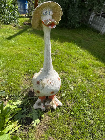 A garden gnome, designed to resemble a goose wearing a straw hat, stands on a grassy lawn. The gnome is made of concrete and is painted white with orange accents on its beak, feet, and polka dots on its body. Its eyes are blue and white. The gnome is positioned in the center of the frame, with the background showing a blue barrel, a wooden fence, and lush green vegetation. The ground is covered in green grass and some fallen leaves. The lighting suggests it is daytime, with shadows cast on the lawn. This scene is located in the city of Yesipovo, Russia.