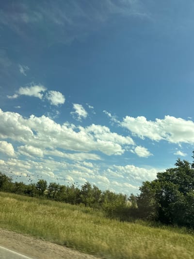 This is a photograph of a rural landscape under a bright, partly cloudy sky. The image is oriented vertically. The left side of the frame is dominated by a vast expanse of blue sky with scattered white, fluffy clouds. On the right side, a line of trees and a field of tall, green grass recede into the distance. A road, or possibly a dirt path, runs along the far right edge of the frame. In the sky above the tree line and grass, a flock of small birds is visible, appearing as dark specks against the lighter background. The lighting suggests it is daytime, likely midday or early afternoon, with the sun high in the sky casting bright light and creating distinct shadows on the clouds. The overall impression is one of a peaceful, natural setting in a rural area. There is no visible text in the image.