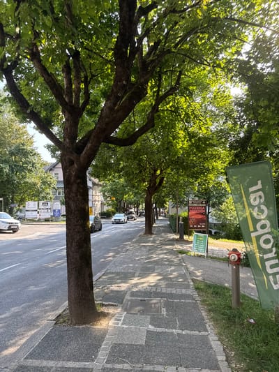The image shows a street scene in Bled, Slovenia, at the intersection of Ljubljanska cesta and Cesta na Grad.  The street is lined with trees, including a large oak tree in the foreground, and several  vehicles are parked on the side of the road.  The sidewalk on the right side of the image is lined with green foliage and a yellow sign with the word “Zmolopest” on it. There is a red fire hydrant partially visible on the right side of the image. The street is paved with asphalt, and the sidewalk is made of concrete pavers.  The sidewalk is partially shaded by the trees, and the sun is shining on the street.  The buildings are on the opposite side of the road from the sidewalk.  The time of day is midday, and the weather is sunny and clear.