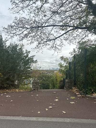 This image captures an autumnal panoramic viewpoint in Le Pecq, France, looking out over a lower elevation area towards a distant urban skyline.

In the foreground, a reddish-brown paved surface, possibly a pathway or viewing platform, occupies the lower half of the frame. Scattered yellow and brown deciduous leaves are distributed across this surface. A narrow grey asphalt strip is visible at the very bottom edge. Two stone pillars, constructed from rough-hewn blocks, frame what appears to be the entrance to a downward-sloping path. The left pillar stands distinctly, while the right pillar supports a dark metal handrail that descends to the right.

Beyond the paved area, dense green and some yellowing foliage from trees and bushes partially obscure the immediate descent. A green chain-link fence is integrated into the vegetation on the right side, extending downwards from near the right stone pillar. Through the midground trees, a residential area with white-colored buildings is partially visible.

The background presents a distant urban skyline, characterized by multiple high-rise buildings (skyscrapers), silhouetted against an overcast, cloudy sky. The landscape between the foreground vegetation and the distant skyline consists of rolling terrain covered in mixed green and autumnal foliage. No individuals or animals are present in the scene.