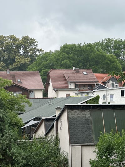 A slightly elevated, eye-level, medium shot captures a cluster of residential buildings in Bad Blankenburg, Germany, beneath an overcast, gray sky. The architecture features predominantly tiled roofs in shades of red and dark gray, with some buildings displaying white or light-colored facades. Several houses have visible dormer windows and chimneys. Lush green trees form a dense backdrop, with some foliage intruding into the foreground, obscuring parts of the lower structures. Satellite dishes are visible on some of the rooftops. The scene depicts a residential neighborhood on a cloudy day.