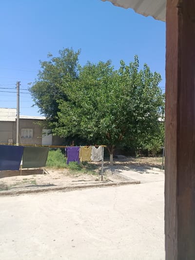 In the city of Karshi, Uzbekistan, a backyard scene unfolds under a clear blue sky. A clothesline stretches across the frame, adorned with laundry. To the left, a dark blue and a dark green fabric hang, secured by what appear to be clothespins or clips. Further along the line, a purple shirt and a yellow shirt are also drying, alongside a white shirt or garment with some text or pattern. Behind the clothesline, a large, leafy tree dominates the mid-ground, casting dappled shadows on the sandy ground. A light-colored building with a corrugated roof and a visible window is situated to the left of the tree. A utility pole with wires is also present to the left. The foreground consists of a dirt or gravel surface, possibly a path or yard, and the right side of the image is partially obstructed by a wooden post and part of a building's roof. The overall impression is one of a simple, functional outdoor space in a residential area.