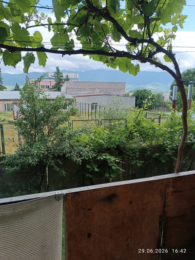 The image depicts an outdoor scene, likely a backyard or garden area, viewed from a covered porch or balcony. In the foreground, a wooden surface and a textured fabric shade are visible. Beyond this, a low concrete wall separates the immediate area from a yard with a wire fence. Various trees and dense green foliage dominate the mid-ground, with a larger, leafy tree centrally located. In the background, several buildings are visible, including a light pink structure and a longer, grey building with a metal roof. Beyond the buildings, rolling hills and mountains rise, under a partly cloudy sky. The overall impression is one of a rural or semi-rural setting.
The lighting suggests it is daytime, with the sky indicating fair weather with some cloud cover. The presence of lush greenery implies a temperate season, possibly late spring or summer. No people are visible in the image. The scene appears still and quiet, with no specific activity taking place.
Visible text in the bottom right corner reads "29.06.2026 16:42," indicating a future date and time, which is likely a timestamp from the camera or device used to capture the image, and not indicative of the actual time the photo was taken.
The context of Khashuri, Georgia, suggests a location in a hilly, potentially mountainous region with a climate that supports significant vegetation. The architectural styles of the buildings, while not distinctly identifiable without further information, contribute to the overall impression of a settlement within this geographical area. The scene evokes a sense of peacefulness and everyday life in a natural, semi-urbanized environment.