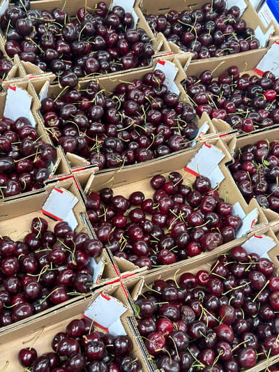 The image shows a close-up, high-angle view of multiple cardboard boxes filled with fresh, dark red cherries. The cherries are plump and glossy, with some still attached to their stems. The boxes appear to be stacked or arranged in a way that suggests a market stall or a display for sale. The lighting is bright, highlighting the texture and color of the fruit. There are no people visible in the image, nor any specific environmental details that would pinpoint the location to Witten, Germany, or any other specific city.