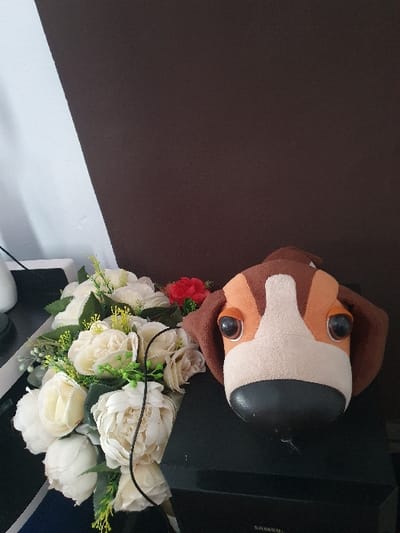 This image displays an indoor arrangement. The background consists of a wall segmented diagonally into a white upper-left portion and a dark brown lower-right portion. In the foreground, a multi-component artificial flower bouquet is positioned on a dark, reflective surface. The bouquet primarily features cream-colored roses or peonies interspersed with green foliage and yellow decorative elements. A solitary red artificial flower is situated behind the main floral arrangement. A black electrical cord extends across the bouquet. To the right of the bouquet, a plush dog's head, characterized by brown and beige coloration, prominent dark eyes, and a black snout, rests on the same dark surface, which bears a faint 'SAMSUNG' logo. A white, indistinct object is partially visible on the far left. No individuals are present. The precise location within Gero, Nigeria, cannot be ascertained from the visual evidence presented in the image.