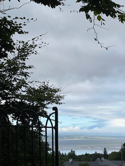 The image, oriented vertically, captures a serene natural scene with a glimpse of human habitation. In the foreground, silhouetted against a cloudy sky, are the dark branches and foliage of trees, some with sparse leaves. A decorative black metal railing curves into the frame from the right, its ornate design suggesting a garden or balcony.
Beyond the foliage, the scene opens up to a vast expanse of water, likely the Donegal Bay, given the location context of Mountcharles, Ireland. The water reflects the sky, which is a blend of soft grays and patches of pale blue, indicating an overcast but not entirely gloomy day. The distant shoreline is visible, dotted with what appears to be a town or village, with houses and a road tracing its edge. Further inland, rolling hills rise, covered in greenery. Tall, dark green coniferous trees frame the right side of the image, interspersed with the roof of a building with dark shingles and white ventilation pipes.
The overall impression is one of tranquility, with nature dominating the view. The diffused light suggests it might be late afternoon or early morning. No people are visible, and no text is present in the image. The scene evokes a sense of peaceful observation, looking out over a coastal landscape.