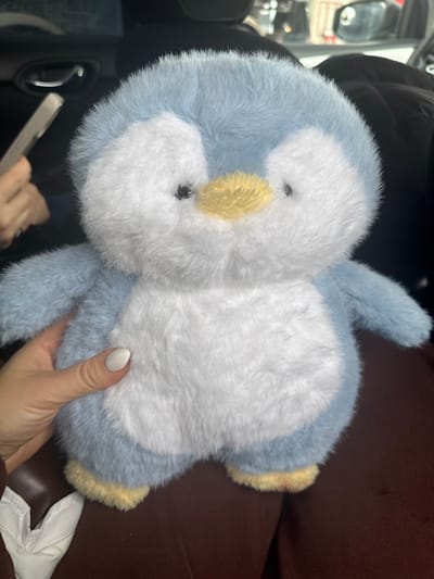A fluffy light blue and white plush toy, resembling a penguin with a yellow beak and yellow feet, occupies the central foreground. A human hand, displaying light-colored manicured fingernails, grips the left side of the toy. The toy rests on dark reddish-brown fabric, likely a lap or vehicle seat. In the upper left background, a partially obscured human hand is visible holding a light-colored smartphone. Vehicle interior elements, including a dark door handle, are present in the upper left, and reflections suggesting an exterior environment are visible through a window in the upper right. The environment is the interior of a vehicle. The location is reported to be Apnagyugh, Armenia.