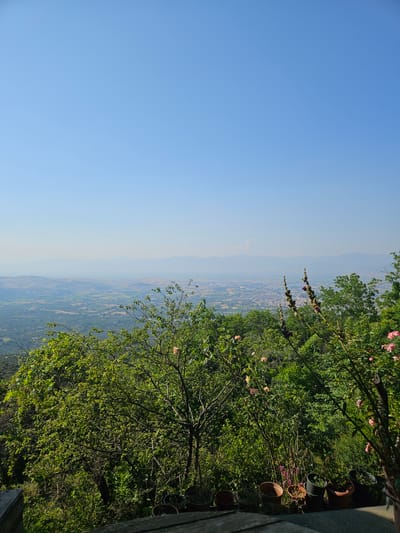The image presents a panoramic view from an elevated vantage point, looking down upon the city of Tire, Turkey, and its surrounding valley. The upper two-thirds of the frame consist of a clear, light blue sky, which becomes progressively paler and hazier towards the distant horizon. Along the horizon, faint, low-lying mountain ranges are visible as blurred, light grey-blue silhouettes. A small, dark, unidentifiable speck is observed in the upper right quadrant of the sky.
Below the distant mountains, the mid-ground reveals a vast expanse of valley landscape. This area is characterized by a mosaic of green and tan fields, indicating agricultural activity, interspersed with clusters of buildings and infrastructure. The city of Tire is centrally located within this valley, identifiable by its dense concentration of residential and commercial structures featuring light-colored roofs.
The foreground is dominated by lush, green vegetation. Trees and shrubs with verdant foliage fill the lower portion of the image. On the right side, several tall, slender plant stalks with dark, developing buds are prominently featured, rising vertically among the leaves. Scattered throughout the foreground greenery are several pink roses, some in full bloom and others as buds. Along the bottom edge, a partial view of a dark wooden or concrete ledge is visible on the left, leading to a collection of terracotta and dark-colored potted plants arranged on a horizontal surface, likely a balcony or terrace. The pots are either empty or contain minimal, undifferentiated plant matter. The scene is illuminated by natural daylight, suggesting a sunny day with clear visibility across the valley, despite the atmospheric haze in the far distance. No individuals or animals are present.