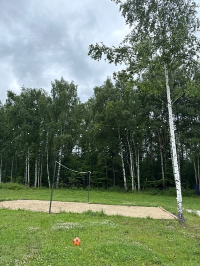In Ryzhkovo, Russia, an outdoor scene unfolds under a cloudy sky, featuring a sand volleyball court situated in a grassy area bordered by a dense forest of birch trees. The volleyball net is set up on the court. In the foreground, an orange soccer ball rests on the grass. String lights are visible, suspended between the trees, suggesting an area intended for evening use. The environment appears serene and natural, with no people present.