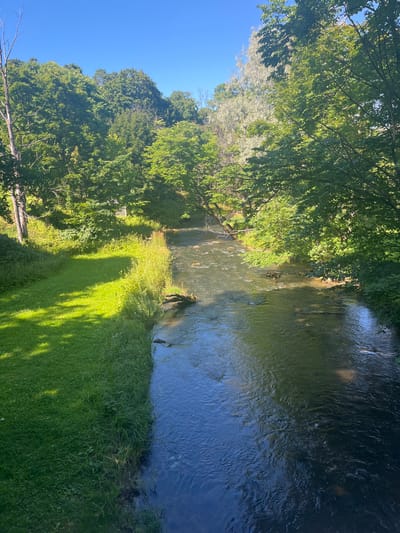 The image depicts a natural scene with a river flowing through a lush green landscape under a clear blue sky. On the left bank of the river, a well-maintained grassy area is visible, partially shaded by trees. The river itself appears shallow with visible rocks and debris on its bed. The right bank is densely covered with various trees and foliage, creating a natural, uncultivated environment. A single, partially submerged log lies in the river near the grassy bank. The overall impression is one of tranquility and natural beauty, suggesting a location within a park or natural reserve. This scene is likely located in Toila, Estonia, known for its scenic coastal areas and parks.