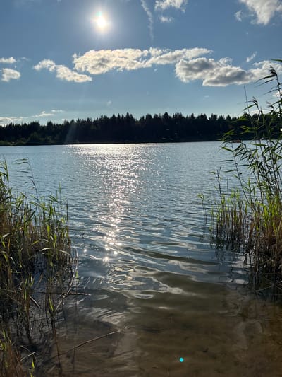 A scenic view of a lake in Zamost'e, Russia, captures the natural beauty of a sunny day. The sun shines brightly in the sky, casting a shimmering reflection on the rippling water. Tall reeds line the foreground, adding a touch of wildness to the scene. A dense forest of trees forms a dark silhouette against the horizon. The water is clear, revealing the sandy bottom beneath, and a small blue object is visible in the water. The overall atmosphere is peaceful and serene, inviting viewers to immerse themselves in the tranquility of nature.