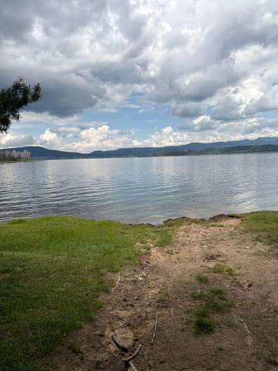 The image captures a landscape view at Tsigov chark, Bulgaria, featuring a large body of water under a partially cloudy sky. The upper third of the frame is occupied by a sky dominated by grey stratocumulus clouds, with some brighter white cumulus clouds and intermittent patches of blue sky visible, particularly towards the lower right. A dark green pine branch is partially visible in the upper left corner.
The central and largest element is a body of water, likely a lake or reservoir, displaying fine ripples across its surface, suggesting wind activity. The water reflects the muted tones of the sky. In the distant background, a continuous line of dark green, forested hills or mountains extends horizontally above the water. On the far left bank of the water body, a small cluster of light-colored, possibly dead or bare trees stands against the darker background.
The immediate foreground consists of land, divided into two distinct sections. The left foreground is covered by a dense patch of vibrant green grass. The right foreground features a bare, uneven, brown dirt and sandy path or bank leading directly to the water's edge. This muddy area contains scattered small sticks and sparse patches of green grass growing through the soil. No individuals, animals, or man-made structures (other than what constitutes the reservoir itself) are visible. The scene is illuminated by diffused daylight.