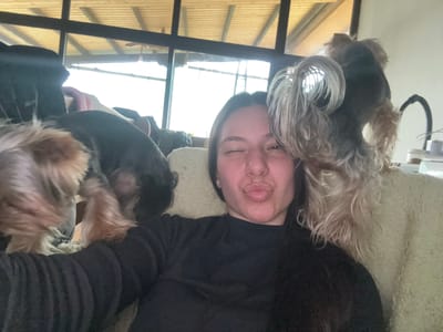 A woman is lying on her back on a cushioned surface with two small, long-haired dogs. The woman is wearing a dark-colored top. The dogs are positioned on either side of her head. The environment includes a window with visible exterior elements. The location is Lipnik, Bulgaria. The roof appears to be made of wood.