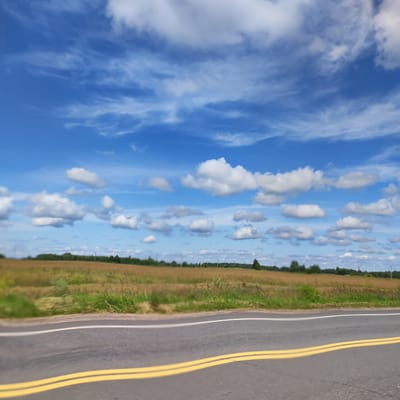 The image depicts a rural landscape on a sunny day, characterized by a bright blue sky with scattered white clouds. A two-lane asphalt road with double yellow lines runs horizontally across the foreground, suggesting motion blur from a vehicle. Beyond the road, a field of dry, golden grass stretches to the horizon, interspersed with patches of green vegetation and distant trees. The background features a treeline and a few power line structures, indicating a sparsely populated area. The scene is consistent with the natural environment found in and around Marfino, Russia, given its location in a region with agricultural land and rural characteristics. No people or specific actions are visible in the image.