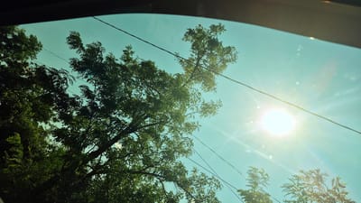 The image captures a view looking upwards through a tinted vehicle window, likely on a sunny day. Lush green foliage from several trees dominates the left and lower portions of the frame. Overhead, thin black wires traverse the bright, cyan-tinted sky. The sun is a prominent feature, positioned in the upper right quadrant of the image, radiating bright light and creating visible lens flares and starburst effects, indicative of a strong light source. The overall scene suggests an outdoor environment, possibly during daylight hours in Mihailovca, Moldova, with the overhead wires implying the presence of urban or suburban infrastructure. There are no people or specific actions depicted.