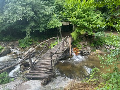 The image depicts a rustic wooden bridge spanning across a narrow, shallow river in a lush, green, forested environment. The bridge is constructed from rough-hewn logs and branches, with a simple railing made of similar materials. To the right of the bridge, a small wooden water wheel is partially submerged in the river, with water splashing around it. The riverbed is rocky, and the water is clear and flowing. The surrounding vegetation is dense with various shades of green foliage, indicating a natural, outdoor setting. The overall impression is one of a serene, natural landscape, possibly a park or a natural attraction. The image appears to be taken in the vicinity of Golyamo Belovo, Bulgaria, suggesting a location within a natural reserve or a scenic area. There are no people visible in the image. The lighting suggests it is daytime, with diffused light filtering through the tree canopy.