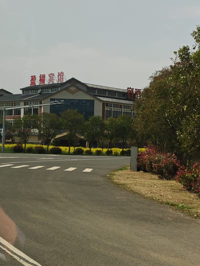 The image presents an outdoor scene in Jurong, China. In the upper-middle ground, a multi-story building is identifiable by prominent red rooftop signage reading "盈福宾馆" (Yingfu Guesthouse/Hotel). The structure features a grey tiled roof, beige and red-brick facade elements, and multiple dark-tinted windows across its stories. A street light pole with a horizontal cross arm is positioned left of the building, above a strip of yellow flowering plants.

An asphalt road with a marked pedestrian crosswalk (white rectangular stripes) occupies the foreground and midground. A median strip between the road and the building contains a dense field of yellow flowering plants, consistent with rapeseed, interspersed with small green trees and bushes. To the right of the road, a strip of dry, light-brown grass precedes dense vegetation, including tall green trees and bushes with red foliage. A grey utility box is partially visible within the right-side foliage. The sky is uniformly light grey, suggesting overcast conditions or atmospheric haze. No human figures or active interactions are present in the scene.