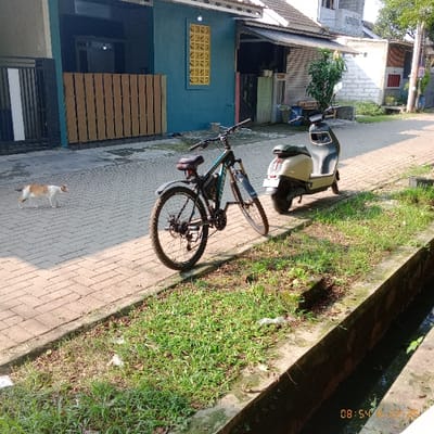 A bicycle lies on its side, adjacent to a parked scooter on a brick pathway. The pathway is lined with grass on one side and a building with a blue wall on the other. A cat is visible on the pathway near the building. The time stamp "08:54" can be seen on the right side of the image.