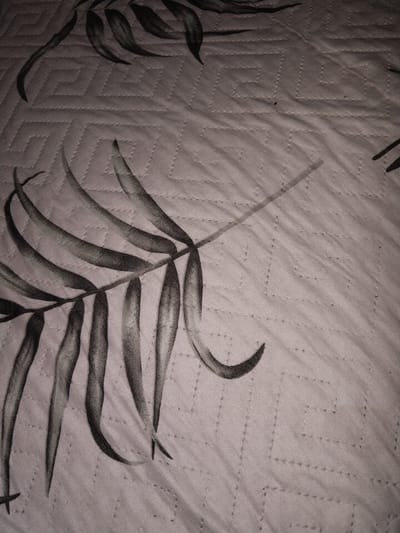 The image shows a close-up of a light-colored, quilted fabric with a dark gray palm leaf pattern. The fabric has a subtle diamond-shaped quilting pattern, visible as a grid of small stitches. The palm leaves are stylized and rendered in a somewhat abstract, watercolor-like style, with varying shades of gray and black to create depth and texture. One large palm frond is prominently featured on the left side of the image, with its long, slender leaves fanning out. Other partial fronds are visible in the upper and right portions of the frame. The lighting is soft, and there are no shadows to indicate a specific time of day. The overall impression is one of a decorative textile, possibly a blanket, throw, or upholstery. There are no people, text, or discernible location cues in the image. The context provided, "Brish, Russia," does not appear to have any relevance to the visual content of the image itself.
