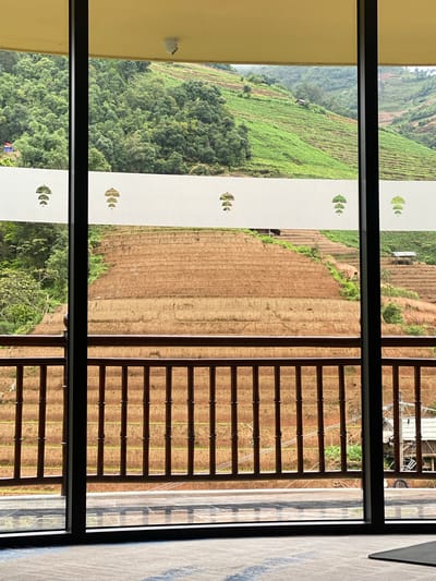 This image captures a view from a balcony overlooking terraced agricultural fields on a hillside, likely in Pung Luong, Vietnam. The terraces are a mix of brown soil and green vegetation, suggesting different stages of cultivation. In the foreground, a wooden railing with vertical posts and horizontal beams separates the balcony from the view. Beyond the railing, the terraced fields recede up the hill, with scattered small structures, possibly farmhouses or sheds, visible on some of the terraces. The hillside is densely covered with trees in the upper parts, with a cloudy or hazy atmosphere. A white band with decorative cutouts, resembling stacked leaves or seed pods, is affixed to the glass of the balcony, obscuring a portion of the view. The floor of the balcony is tiled, and the interior of the room from which the photo is taken is suggested by a section of patterned carpet and the edge of a yoga mat. The overall scene depicts a rural, agricultural landscape viewed from an elevated vantage point.