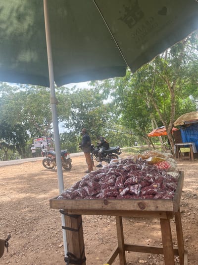 The image depicts a street scene in Picha Ya Ndege, Tanzania. A vendor stands near a wooden stand heavily laden with bags of what appear to be peanuts. An umbrella with a logo provides shade for the vendor. A motorcyclist is seen, likely a customer or passerby. Another motorcycle parked nearby. A sign with text "ONYO" is visible. The setting appears to be outdoors on a dirt-covered area.