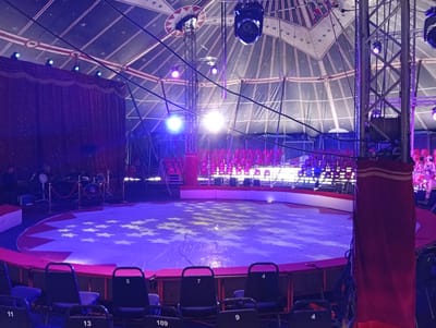 The image depicts the interior of a circus tent, likely the Circo Helvetia which is located in Langenthal, Switzerland. The scene is illuminated by a combination of stage lights, casting a purple and blue glow over the circular performance area. The floor of the arena is covered with a blue tarp adorned with white stars and red and white striped borders. Surrounding the performance area are tiered seating sections filled with rows of dark chairs, many of which are numbered.

In the background, a stage with a red, shimmering curtain is visible, and behind it, instruments, including drums, and what appears to be audio equipment, are set up. Several figures, possibly performers or crew members, are present on or near the stage. Overhead, the circus tent's ceiling is visible, decorated with a pattern of stars and stripes, with various lighting fixtures and structural elements suspended from it. The overall atmosphere is one of anticipation, with the setup suggesting an imminent or recently concluded performance.