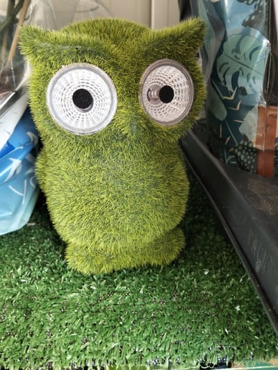 A green, fuzzy owl-shaped object with large, reflective circular eyes is positioned in the foreground, resting on a surface of artificial grass. The owl appears to be a decorative item, possibly a solar-powered light, given the reflective nature of its eyes. Behind the owl, to the left, a portion of a blue plastic bag with white lettering is visible. To the right, a black plastic edge or shelf is present, and behind that, a patterned object, possibly a plant or wrapping paper with a tropical leaf motif, is partially visible. The overall setting suggests an outdoor or garden-related display. The image does not contain any discernible elements that would indicate its specific location within Congaz, Moldova.