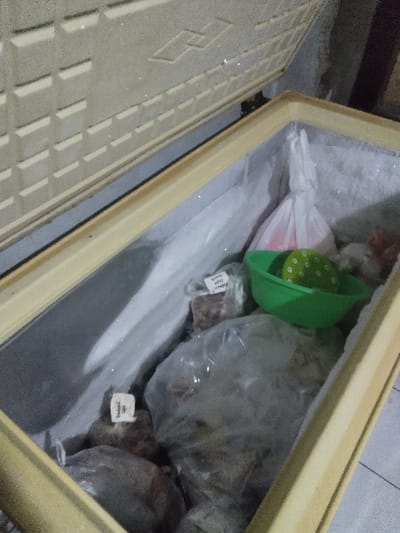 This image, captured in Chimay, Belgium, presents a detailed view into an open, light-tan chest freezer. The freezer lid, featuring a textured grid pattern on its interior surface, is raised upwards. The interior walls of the freezer are heavily coated with white frost. The compartment contains a variety of items, primarily enclosed within clear and white plastic bags. A prominent, large clear plastic bag holds indistinct contents in the central area. Smaller bags are distributed throughout; one brown, irregular item has a label partially reading "Trappist Sage," while another bag near the top right shows "Viande" on its label. A bright green plastic bowl, containing a round green object with white polka dots, is situated among the items. A white plastic bag containing a reddish substance is also visible towards the upper right. The freezer rests on a light-colored tiled floor, with a darker wall visible in the background. No individuals, direct actions, or interactions are depicted within the scene.