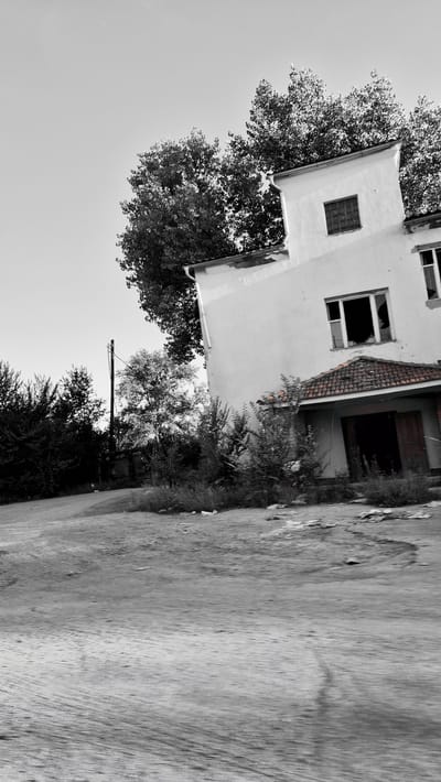 The image depicts an abandoned building in Piatra Albă, Moldova. The building, which appears to be two stories tall, has a light-colored facade and a tiled roof over the entrance. Several windows are broken, indicating disrepair. Overgrown vegetation surrounds the structure, and the surrounding area appears to be a dirt road or unpaved lot. Tall trees are visible behind and to the left of the building. A power line pole stands to the left of the building. The overall scene conveys a sense of neglect and abandonment. There are no people or animals visible in the image, nor any discernible actions or interactions. The image is captured from a slightly angled perspective, possibly from a moving vehicle, as indicated by some motion blur in the foreground.