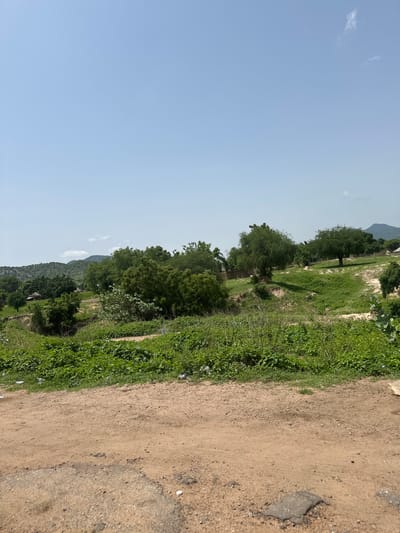The image depicts a rural landscape with a clear blue sky. In the foreground, a dirt road with some patches of asphalt is visible, characterized by a sandy texture and scattered stones. Beyond the road, a dense growth of green vegetation covers the ground, with some litter visible among the plants. Further into the scene, rolling hills are covered in lush green grass and scattered trees. In the mid-ground, a cluster of trees stands on a gentle slope, with some traditional huts visible among them. In the distance, more hills are covered with vegetation. The overall impression is of a natural, undeveloped environment. The image is not specific to Dzhu'a-Khore, Nigeria, as no identifying landmarks or features suggest this location.
